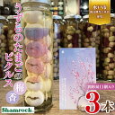 【ふるさと納税】【水戸市有料観光土産品】Shamrock うずらのたまごのピクルス 梅香 3本【赤しそ しそ ピクルス 漬物 梅 ソース 水戸市 茨城県】(FE-10)