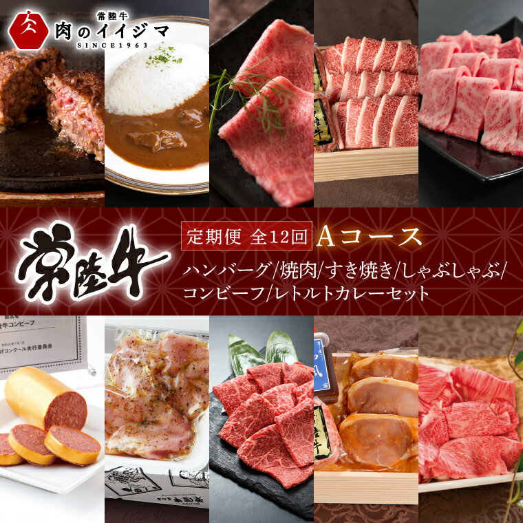 【ふるさと納税】【定期便 全12回】 常陸牛 12ヶ月 定期便 Aコース ハンバーグ 焼肉 すき焼き しゃぶし..