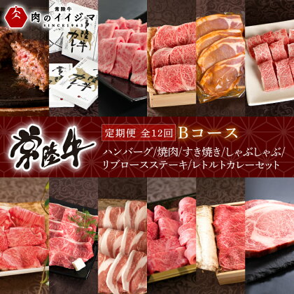 【定期便 全12回】 常陸牛 12ヶ月 定期便 Bコース ハンバーグ 焼肉 すき焼き しゃぶしゃぶ リブロース ステーキ レトルトカレー ギフト セット プレゼント 黒毛和牛 ふるさと納税 定期便 肉【肉のイイジマ】 茨城県 水戸市（DU-112）