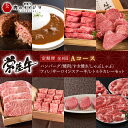 【ふるさと納税】【定期便 全8回】茨城県産 常陸牛 8ヶ月 定期便 Aコース ハンバーグ 焼肉 すき焼き しゃぶしゃぶ フィレ サーロイン ステーキ レトルトカレー【肉のイイジマ】（DU-114）