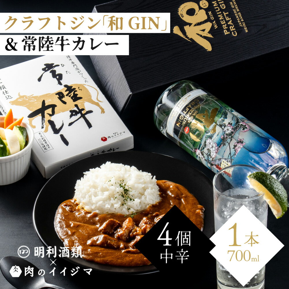【ふるさと納税】【明利酒類×肉のイイジマ】クラフトジン&常陸牛カレー(ZZ-3)