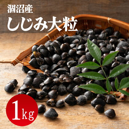 涸沼産 冷凍しじみ 大粒 1kg(200g×5p)（CA-1）