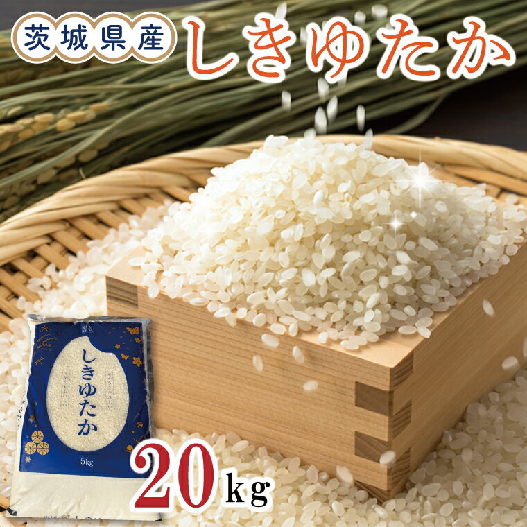 【ふるさと納税】茨城県産しきゆたか20kg（令和5年度産）※離島配送不可（EN-13_1）