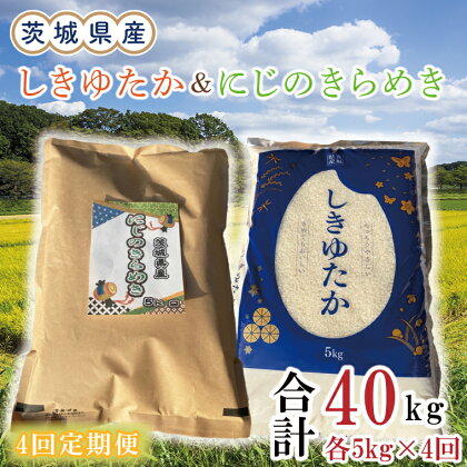 【4ヶ月定期便】茨城県産しきゆたか＆にじのきらめき計40kg（10kg×4回）(令和5年度産)※離島配送不可（EN-26_1）