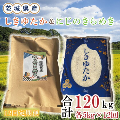 【12ヶ月定期便】茨城県産しきゆたか＆にじのきらめき計120kg（10kg×12回）(令和5年度産)※離島配送不可（EN-28_1）