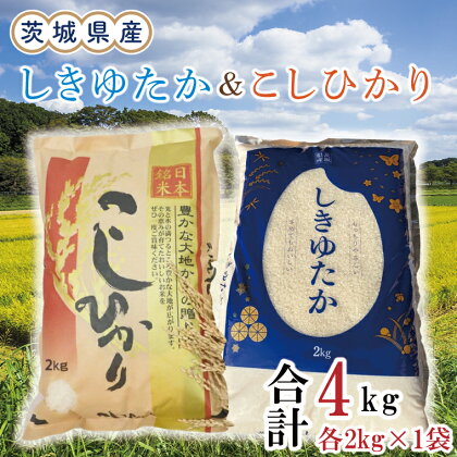 茨城県産しきゆたか＆こしひかり各2kg（計4kg）（令和5年度産）※離島配送不可（EN-29_1）