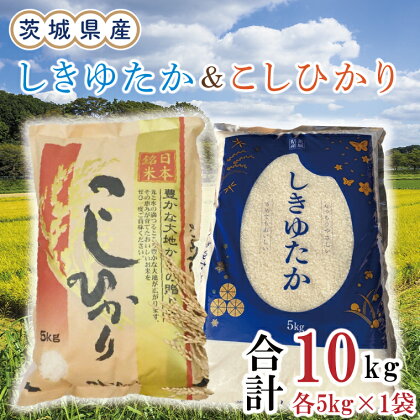 茨城県産しきゆたか＆こしひかり各5kg（計10kg）（令和5年度産）※離島配送不可（EN-30_1）