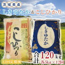 茨城県産しきゆたか＆こしひかり計120kg（10kg×12回）(令和5年度産)※離島配送不可（EN-33_1）