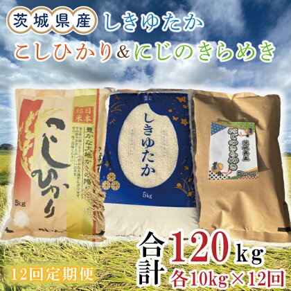 【12ヶ月定期便】茨城県産しきゆたか＆にじのきらめき＆こしひかり計120kg（10kg×12回）(令和5年度産)※離島配送不可（EN-42_1）