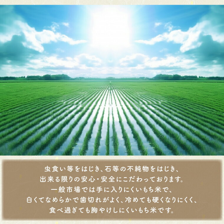 【ふるさと納税】【数量限定】茨城県産もち米6kg（3kg×2袋）　冷めても硬くなりにくい『きぬはなもち』　令和5年産新米　白くてなめらか　注文後精米　農家直送（HG-1）