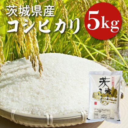 令和5年度産　茨城県産コシヒカリ　5kg(HQ-11)