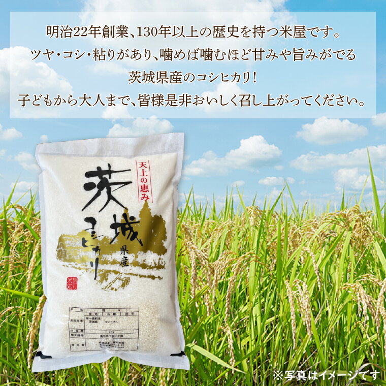 【ふるさと納税】【6ヵ月定期便】令和5年度産　茨城県産コシヒカリ　5kg×6（HQ-17）