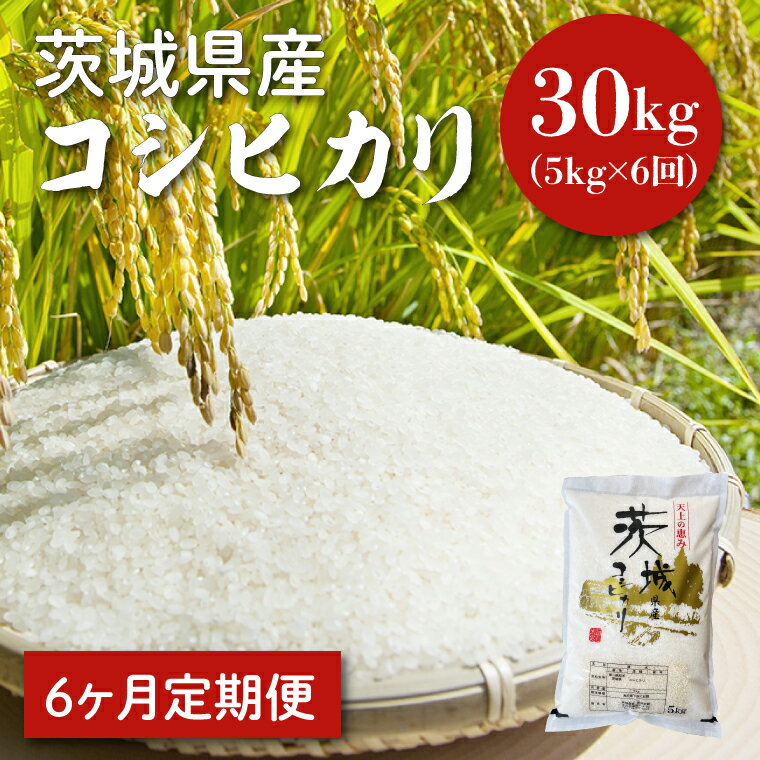 【ふるさと納税】【6ヵ月定期便】令和5年度産　茨城県産コシヒカリ　5kg×6（HQ-7）