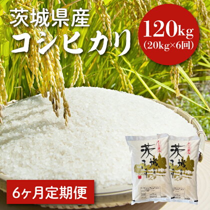 【6ヵ月定期便】令和5年度産　茨城県産コシヒカリ　20kg×6（HQ-19）