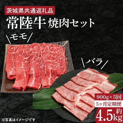 【5ヶ月定期便】【常陸牛】焼肉セット 約900g【定期便】計5回　総量約4.5kg（約4,500g）【茨城県共通返礼品】（HI-19）