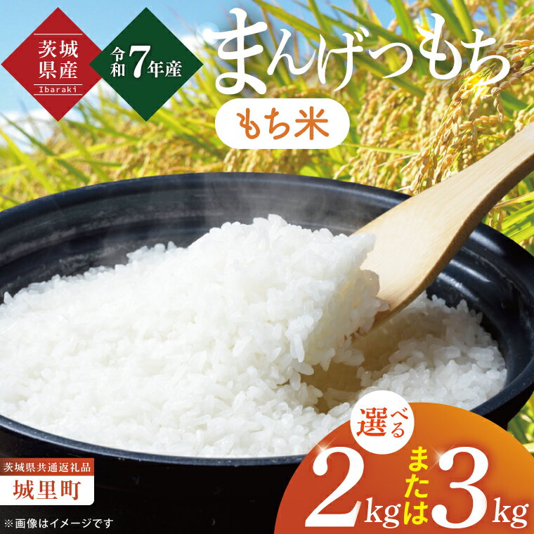 マンゲツモチは、天皇陛下が皇居内の水田で行う「お田植祭」において作付けされる、由緒ある高級もち米です。　【ふるさと納税】【選べる内容量】【数量限定】【令和7年度産 新米】茨城県産マンゲツモチ2kg・3kg（茨城県共通返礼品/城里町）【お米 ごはん もち米 おいしい 餅 茨城県産 水戸市】（IH-100）