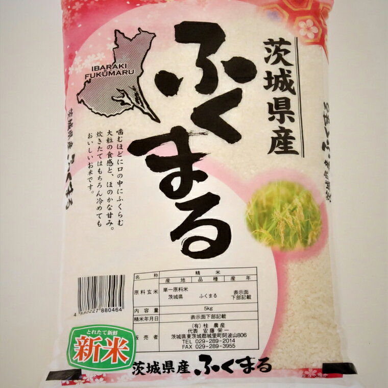 【ふるさと納税】【3ヶ月定期便】茨城県産ふくまる　計15kg（茨城県共通返礼品/城里町）（IH-21）