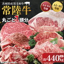 【ふるさと納税】【茨城県共通返礼品】常陸牛 丸ごと1頭分 約440kg【肉 お肉 牛肉 贈答 別送対応 最高級 希少部位 A5ランク 黒毛和牛 カット済み 高品...