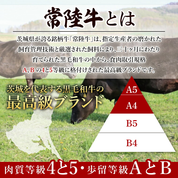 �ڤդ뤵��Ǽ�ǡۡڰ�븩���������ʡۡڶ�Կ����Τߡ� ��Φ�� �ݤ���1Ƭʬ ��440kg ���ơ��� �����Ƥ� ���� ����֤���� �µ� �� ���� ��BG-30��