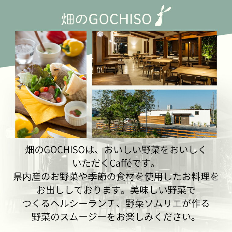 【ふるさと納税】『畑のGOCHISO』ランチペアチケット（GU-1）