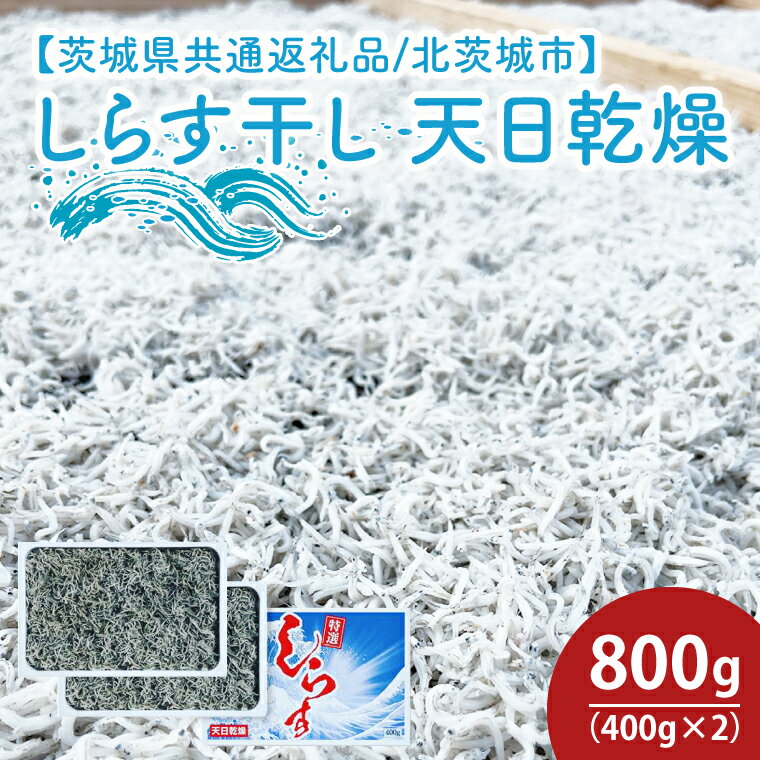 【ふるさと納税】しらす干し 天日乾燥800g(400g×2)【茨城県共通返礼品/北茨城市】【シラス 水揚げ カルシウム 魚 10000円以内 1万円以内】 (HY-11)