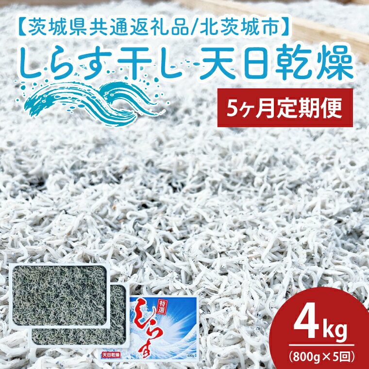 【5ヶ月定期便】しらす干し 天日乾燥800g（400g×2）【茨城県共通返礼品/北茨城市】（HY-5）