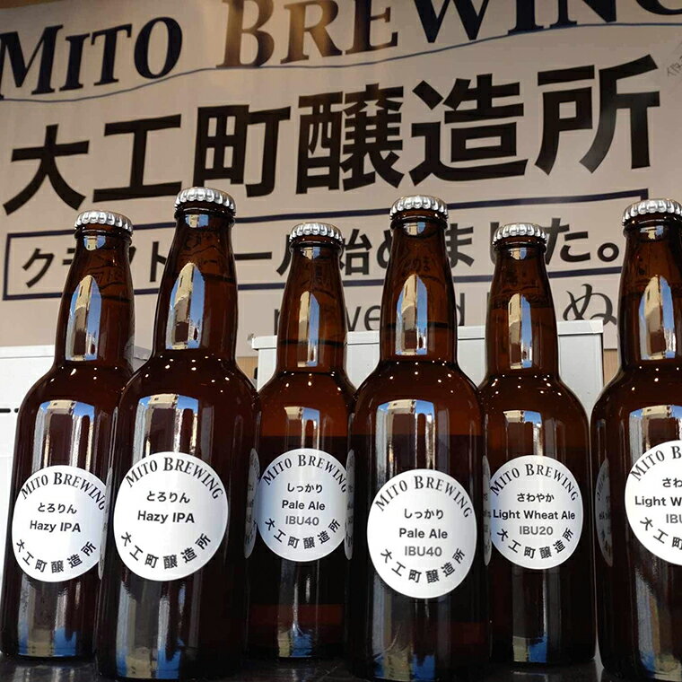 【ふるさと納税】第1回水戸さきがけビジネス大賞 優秀賞受賞！【ぬりや】クラフトビール　6本詰め合わせ【お酒 クラフトビール ビール ふるさと納税 水戸市 茨城県】（GW-1）