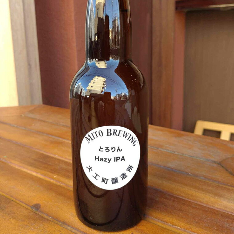 【ふるさと納税】第1回水戸さきがけビジネス大賞 優秀賞受賞！【ぬりや】クラフトビール　6本詰め合わせ【お酒 クラフトビール ビール ふるさと納税 水戸市 茨城県】（GW-1）