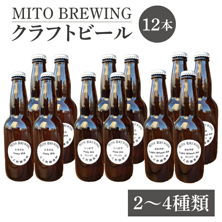 第1回水戸さきがけビジネス大賞 優秀賞受賞![ぬりや]クラフトビール12本詰め合わせ[お酒 クラフトビール ビール ふるさと納税 水戸市 茨城県](GW-2)
