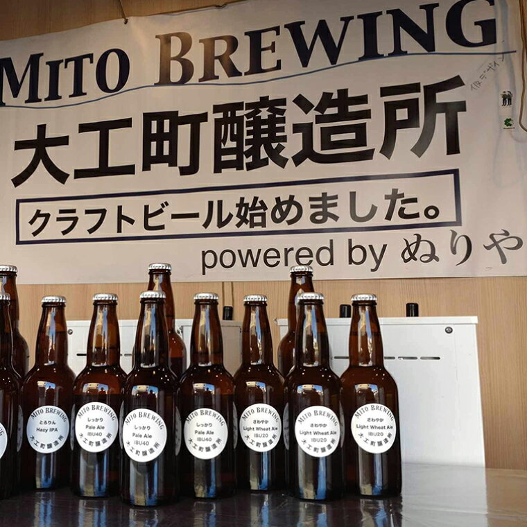 【ふるさと納税】第1回水戸さきがけビジネス大賞 優秀賞受賞！【ぬりや】クラフトビール12本詰め合わせ【お酒 クラフトビール ビール ふるさと納税 水戸市 茨城県】（GW-2）