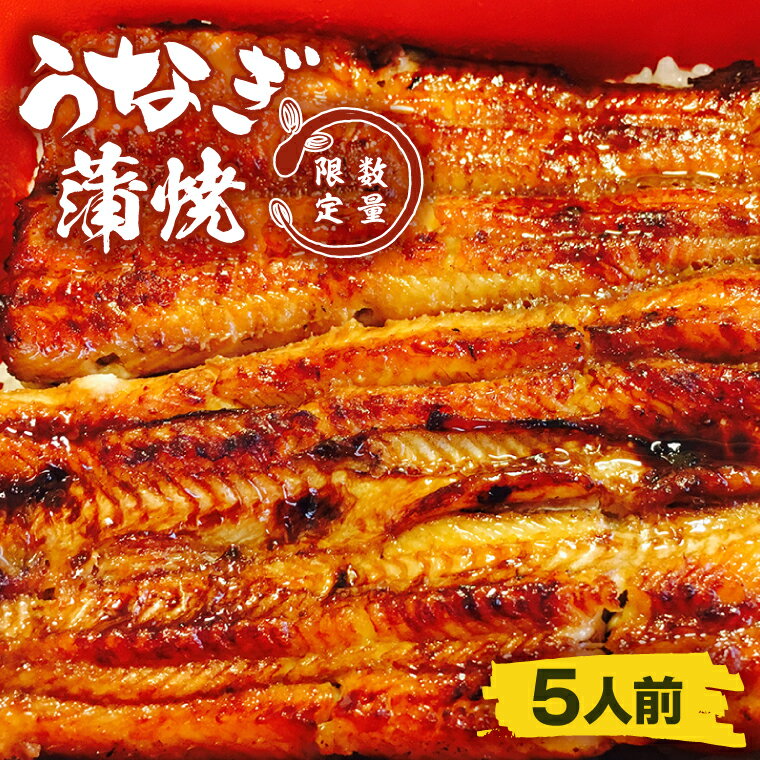 【ふるさと納税】【蒲焼割烹 ぬりや】うなぎ蒲焼(真空パック)5人前 【鰻 ウナギ うなぎ 土用丑の日 土用 丑の日 かば焼き 蒲焼き 国産 うなぎ蒲焼 老舗】(GW-5)