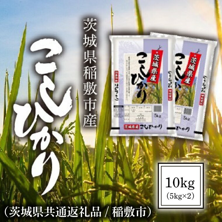 楽天ふるさと納税　【ふるさと納税】【令和5年産】茨城県稲敷市産こしひかり10kg(5kg×2)（茨城県共通返礼品/稲敷市）（IM-11）