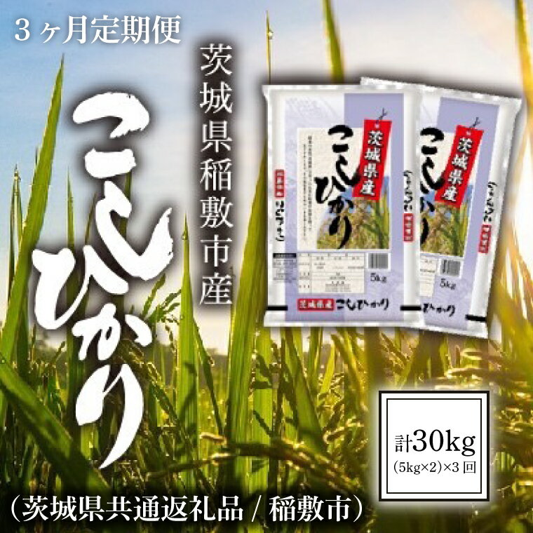 [3ヶ月定期便][令和5年産]茨城県稲敷市産こしひかり計30kg(10kg×3回)(茨城県共通返礼品/稲敷市)(IM-12)