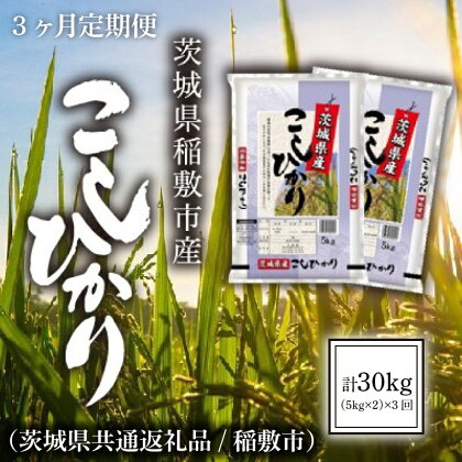 【3ヶ月定期便】【令和5年産】茨城県稲敷市産こしひかり計30kg(10kg×3回)（茨城県共通返礼品/稲敷市）（IM-12）