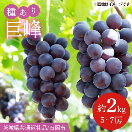 【先行予約】巨峰　約2kg（5～7房）【茨城県共通返礼品/石岡市】（IT-2）