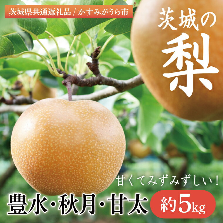 [8月下旬より発送][数量限定]茨城県 千代田の梨(豊水・秋月・甘太いずれか)約5kg[茨城県共通返礼品/かすみがうら市][梨 なし 果物 くだもの フルーツ 豊水 秋月 おまかせ 濃厚 甘い かすみがうら市 共通返礼品 水戸市](IV-1)
