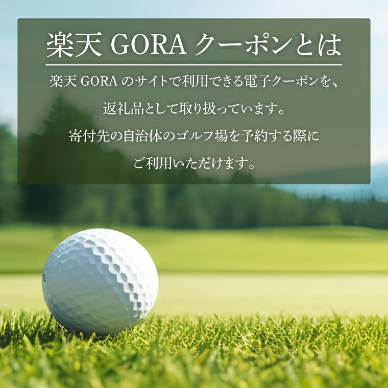 【ふるさと納税】茨城県水戸市の対象ゴルフ場で使える楽天GORAクーポン 寄付額30,000円 楽天限定 チケット ゴルフ（JP-3）