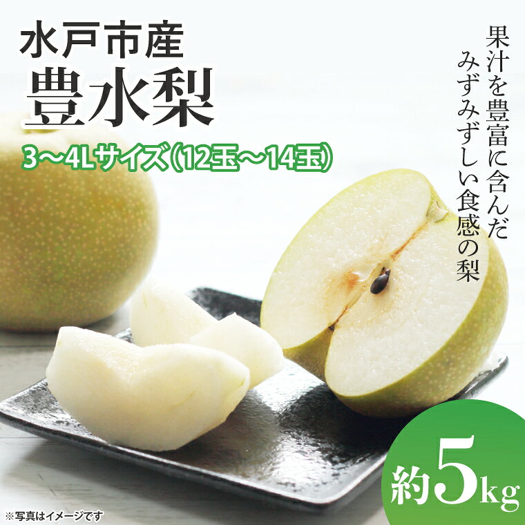 【数量限定】【先行予約】【8月下旬以降発送】豊水梨 美味さバツグン 水戸の『豊水』 約5kg（12玉〜14玉）（3L〜4Lサイズ）【果物 くだもの フルーツ 梨 ナシ なし 新鮮 幸水 新水 旬 お取り寄せ 期間限定 茨城県 水戸市 】（KB-1）