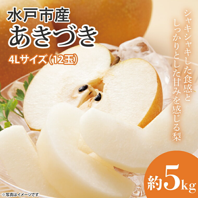 【数量限定】【先行予約】【9月上旬以降発送】いいとこどりの美味い梨 水戸の『あきづき』約5kg（12玉）(4Lサイズ）【果物 くだもの フルーツ 梨 ナシ なし 新鮮 幸水 新水 旬 お取り寄せ 期間限定 茨城県 水戸市 】（KB-2）
