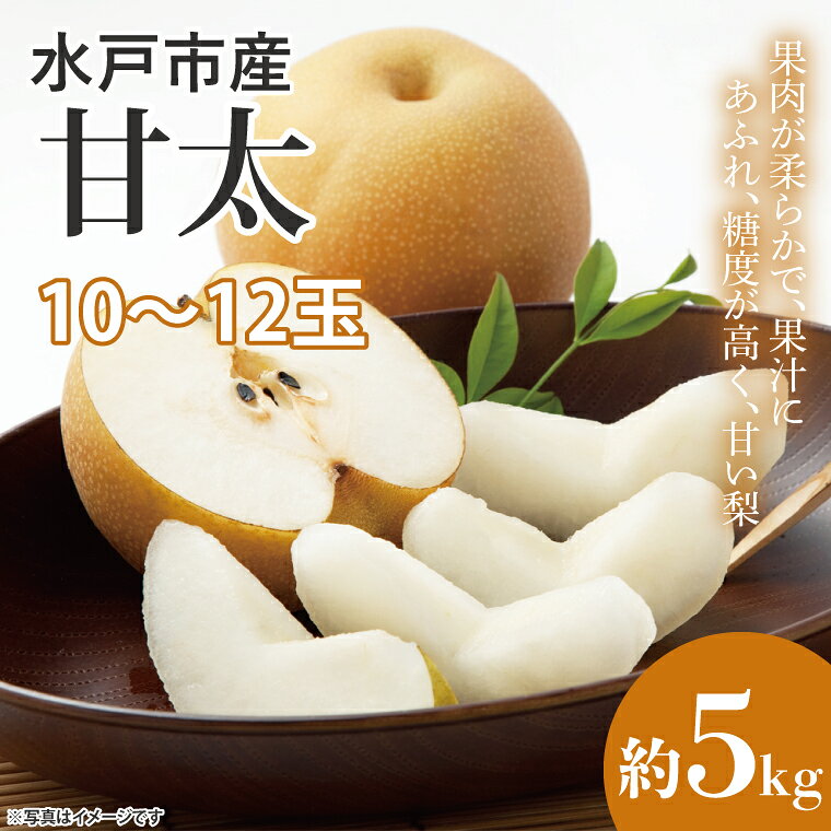 【数量限定】【先行予約】【9月中旬以降発送】梨 つくば生まれ水戸育ち『甘太』 約5kg（10〜12玉）【果物 くだもの フルーツ 梨 ナシ なし 新鮮 幸水 新水 旬 お取り寄せ 期間限定 茨城県 水戸市 】（KB-4）