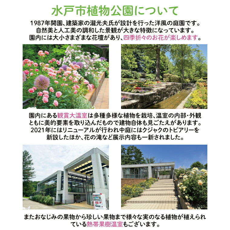 【ふるさと納税】【数量限定】水戸市植物公園ガイドツアー＆薬膳料理体験（ペアチ...