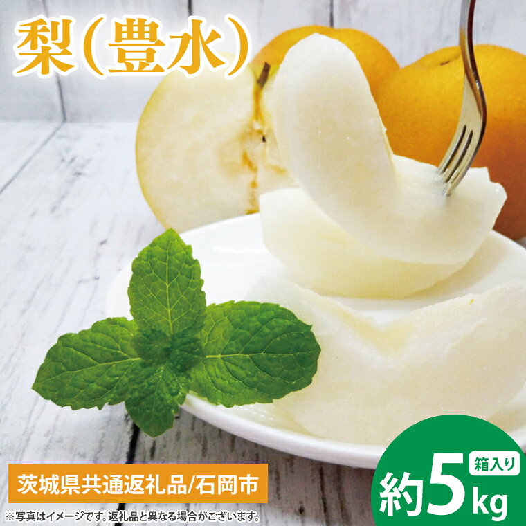 【9月上旬より発送】【数量限定】梨（豊水）5kg【茨城県共通返礼品/石岡市】【果物 くだもの フルーツ ナシ なし 幸水 新水 新鮮 旬 お取り寄せ 期間限定 茨城県 水戸市 】（KL-3）