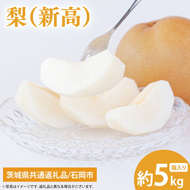 【9月下旬より発送】【数量限定】梨（新高）5kg【茨城県共通返礼品/石岡市】【果物 くだもの フルーツ ナシ なし 新鮮 旬 お取り寄せ 期間限定 茨城県 水戸市 】（KL-4）
