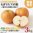 【ふるさと納税】【8月下旬より発送】【数量限定】もぎりたての梨!3kg!一番旬の品種をお届け!(豊水・秋月・新高・幸水いずれか1品種)【茨城県共通返礼品/石岡市】【果物 くだもの フルーツ ナシ なし もぎたて 新鮮 旬 お取り寄せ 期間限定 茨城県 水戸市 】(KR-3)