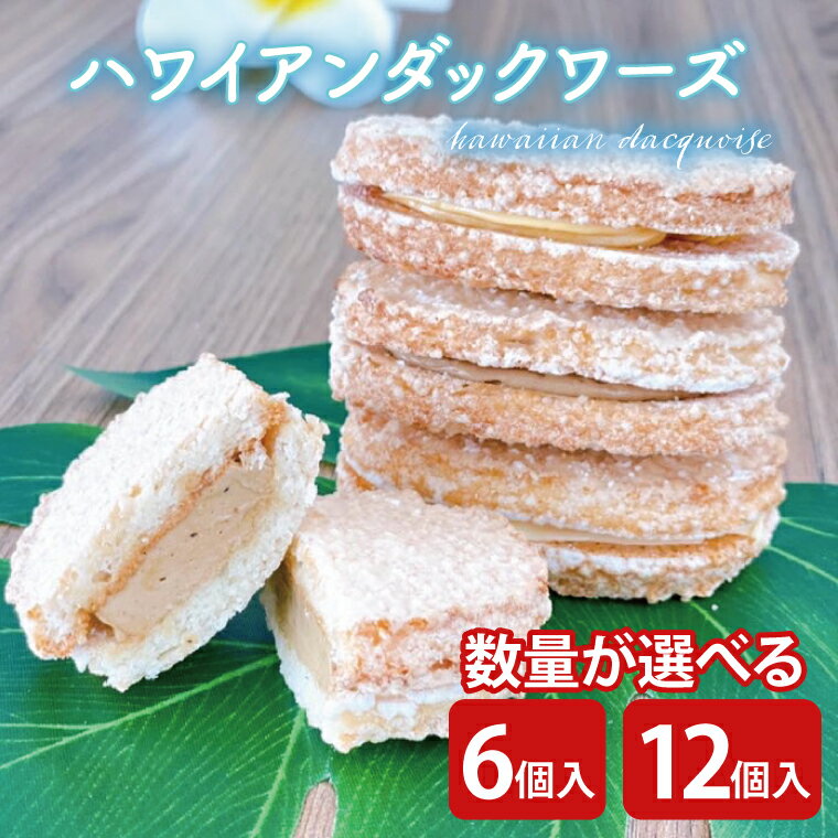 [選べる][数量限定]ハワイアンダックワーズ[ダックワーズ ハワイ ハワイアンソルト ライオンコーヒー リリコイ パッションフルーツ スイーツ 水戸市 茨城県 5000円以内 10000円以内 1万円以内](KT-1)