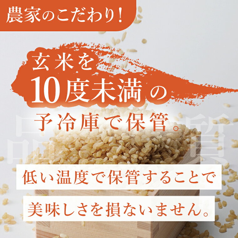 茨城県水戸市の画像2