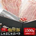 【ふるさと納税】梅里豚(ばいりとん)しゃぶしゃぶ バラ500gセット(2種類タレ付)【しゃぶしゃぶ 鍋 ブランド豚 豚バラ ゴマダレ ポン酢 昆布 利尻昆布 水戸市 茨城県 冷凍便】(JE-7)