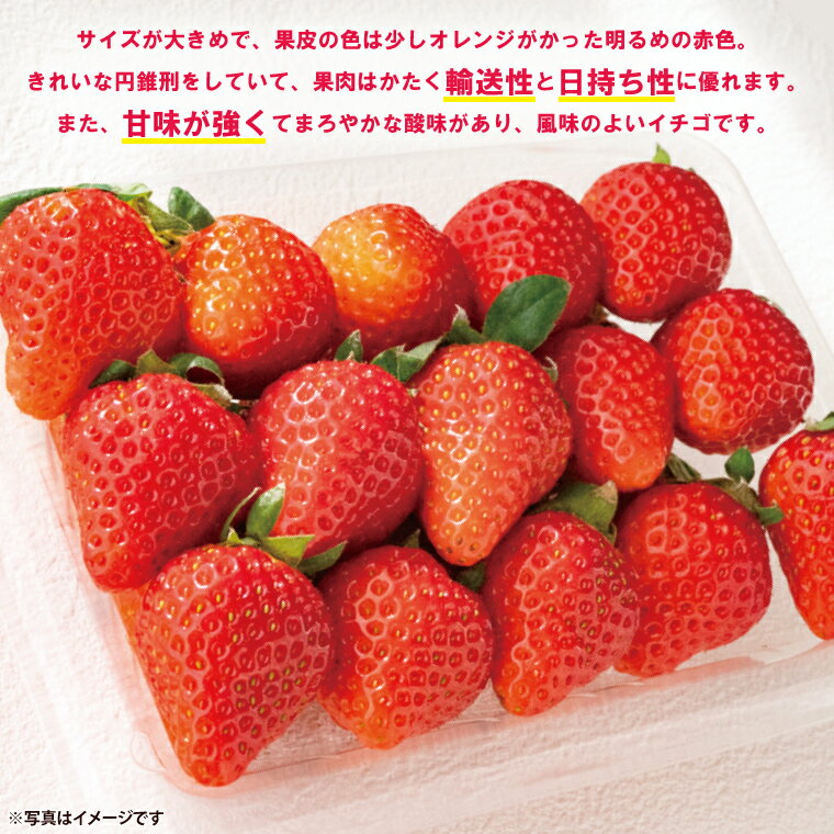 【ふるさと納税】【茨城県共通返礼品/行方市産】【2026年1月より順次発送】いちご 「やよいひめ」 約260gパック×4【いちご 苺 イチゴ フルーツ 果物 ジューシー 水戸市 水戸 茨城県】（LO-3）