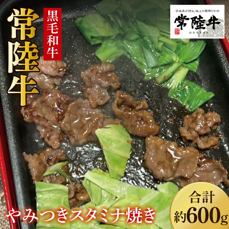 【ふるさと納税】【数量限定】イチオシ!!常陸牛やみつきスタミナ焼600g【牛肉 和牛 ブランド牛 常陸牛 パーティ BBQ バーベキュー 水戸市 茨城県】(MJ-2)