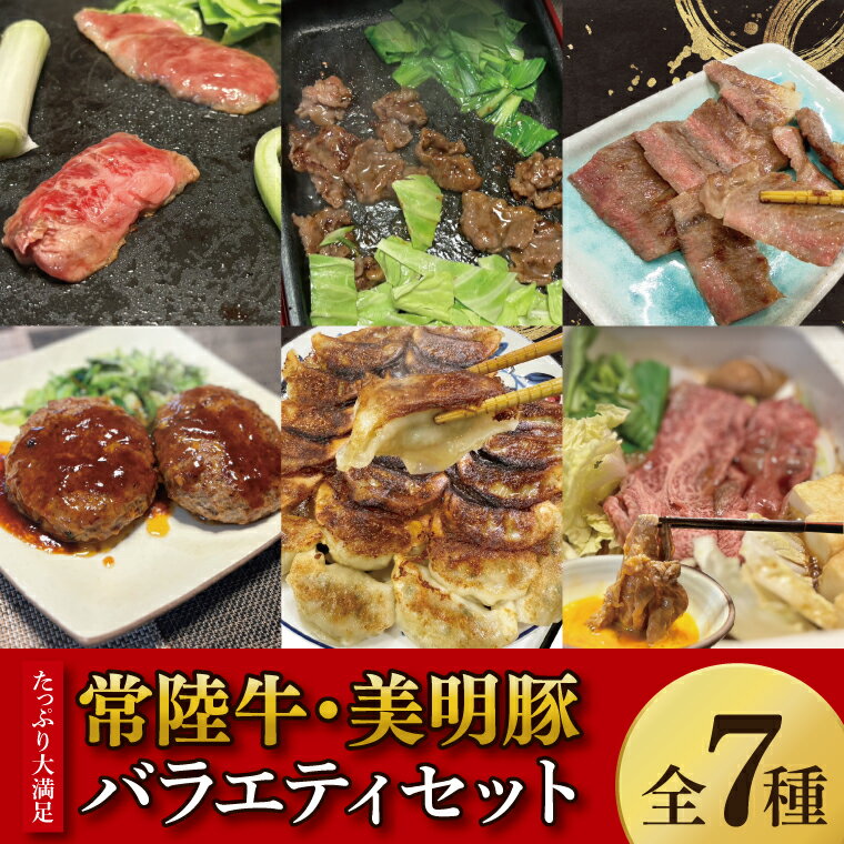 [数量限定]たっぷり大満足!牛肉&豚肉バラエティセット[常陸牛 美明豚 黒毛和牛 牛肉 ブランド豚 ジューシー パーティー 茨城県 水戸市](MJ-8)